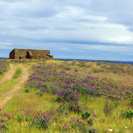 Farm stay Quinta Da Caldeireira